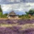 Neue Heimat Lüneburger Heide