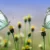 Wann wird es Frühling