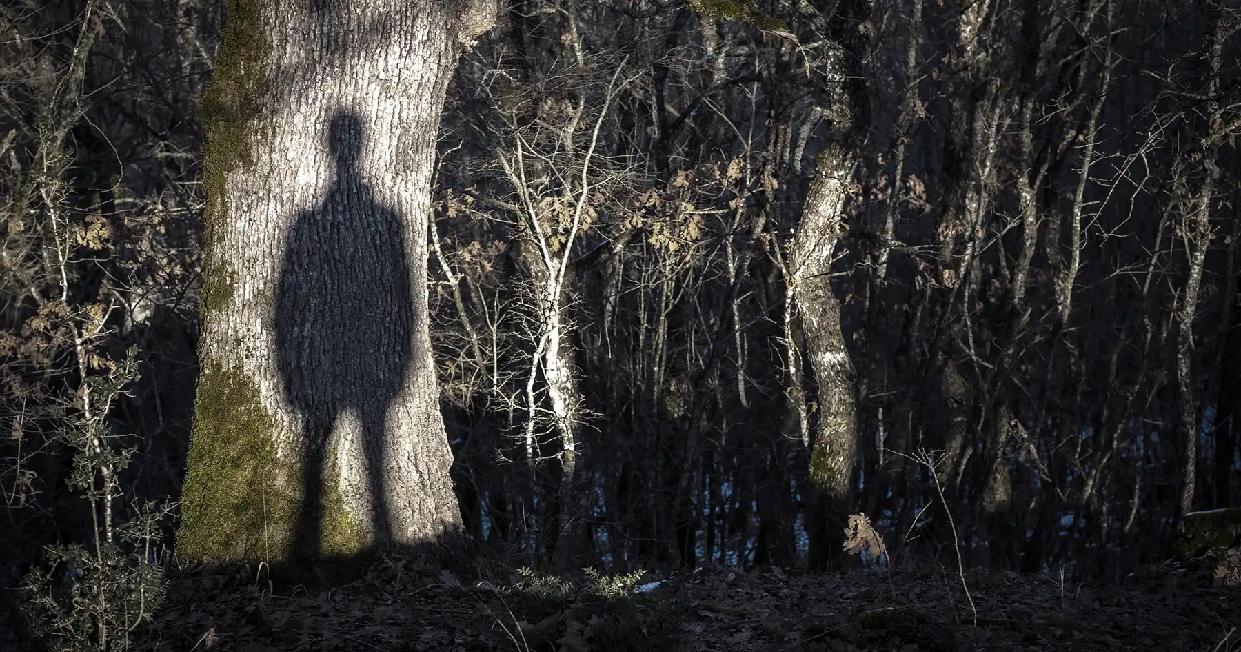 Geister Schatten im Wald