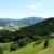 Schwarzwald